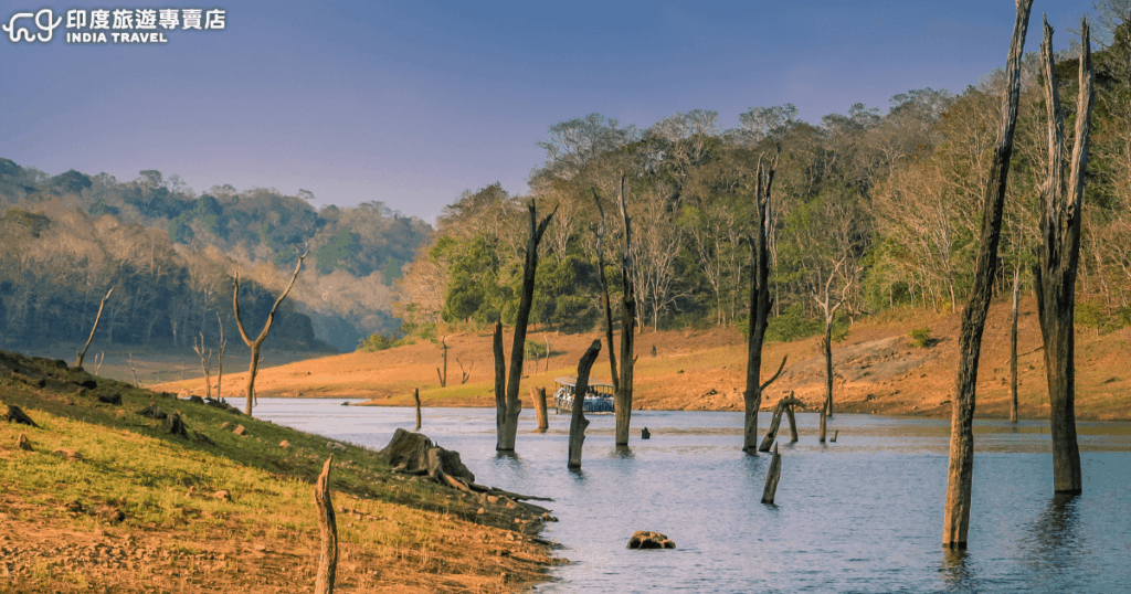 照片拍攝於印度喀拉拉邦（Kerala）的佩里亞爾國家公園（Periyar National Park），湖面上倒映著枯木樹幹與周圍的森林景觀。這個國家公園以保護亞洲象與老虎而聞名，園區內有人工湖供遊客搭乘遊船觀賞野生動物。此畫面呈現靜謐的自然氛圍，水面與山林形成對比，展現南印度獨有的自然風貌。左下角帶有「印度旅遊專賣店 India Travel」的標誌，適合作為南印度自然生態旅遊的代表圖片。
