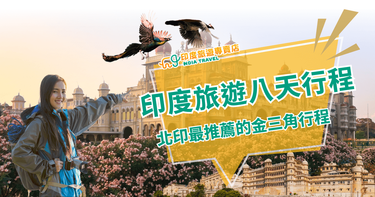 畫面主體為一位身穿戶外裝備、笑容滿滿的年輕女子，背景是印度著名的邁索爾宮（Mysore Palace），花木盛開與飛舞的孔雀增添旅遊氛圍。右側大面積黃色透明框內標示「印度旅遊八天行程」與副標「北印最推薦的金三角行程」，字體鮮明吸睛，營造專業又親和的視覺感受。整體設計活潑具探索感，適用於旅遊行程介紹文章首圖或社群主題推廣。