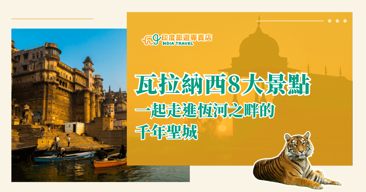 圖片左側呈現瓦拉納西（Varanasi）恆河岸邊的歷史建築與碼頭，夕陽的金色光線映照在古老城牆與河面上，幾艘小船停泊在岸邊，居民與旅人交織出熱鬧又寧靜的氛圍。右側為橙色半透明背景，上方有「印度旅遊專賣店」標誌與綠色粗體字的「瓦拉納西8大景點 一起走進恆河之畔的千年聖城」文字，下方搭配一隻悠閒臥坐的老虎，象徵印度文化與野性之美的融合。