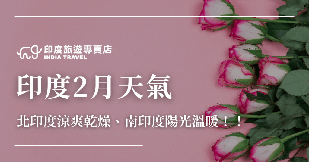這張圖片為印度旅遊專賣店（India Travel）設計的文章封面圖，主題為「印度2月天氣」。背景以粉色為主調，右側排列數束粉白玫瑰，營造溫暖柔和氛圍。主標題「印度2月天氣」字體清晰醒目，下方副標語「北印度涼爽乾燥、南印度陽光溫暖！」簡明地呈現當月天氣特徵，整體視覺兼具旅遊資訊性與溫馨氣息。